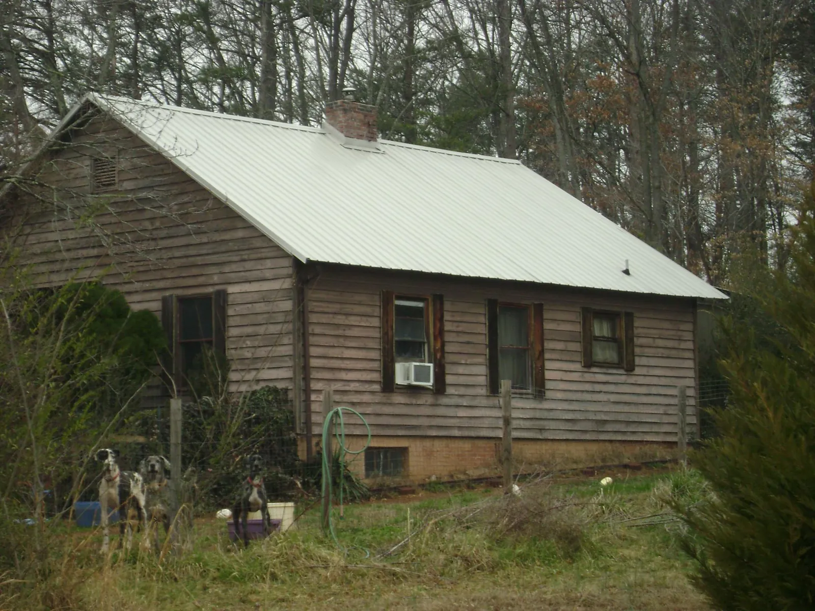 White metal roof on an old wood sided farmhouse, from a Asphalt Shingle Roof Repair job in Earleton